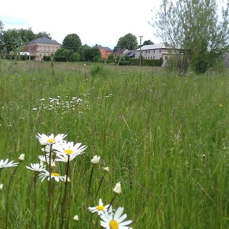 Apartman Lipova Lägenhet Ludvikovicky Exteriör bild